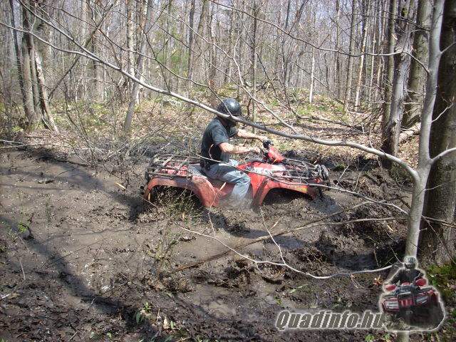 arcticcat_quadinfo_196.jpg