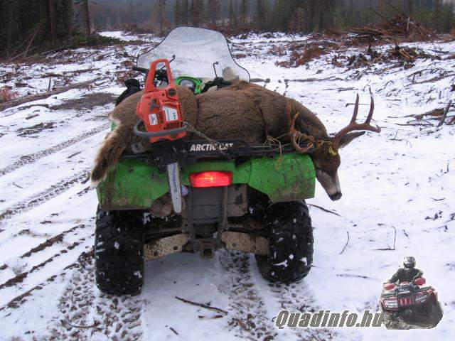 arcticcat_quadinfo_247.jpg