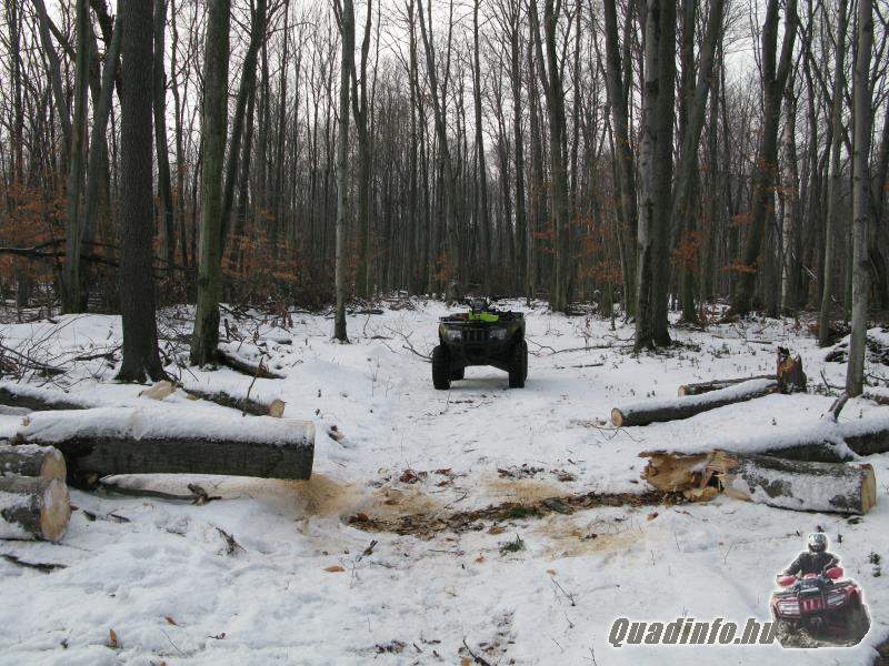 arcticcat_quadinfo_266.jpg