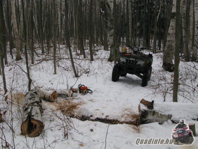 arcticcat_quadinfo_269.jpg