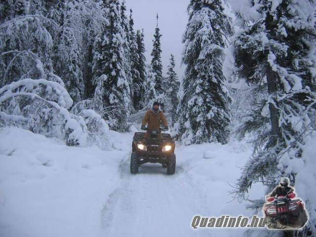 arcticcat_quadinfo_271.jpg