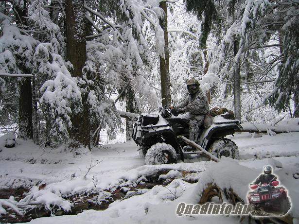arcticcat_quadinfo_350.jpg
