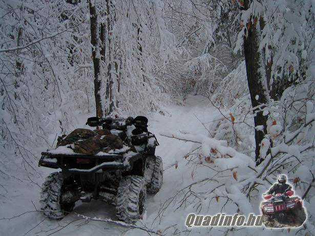 arcticcat_quadinfo_351.jpg
