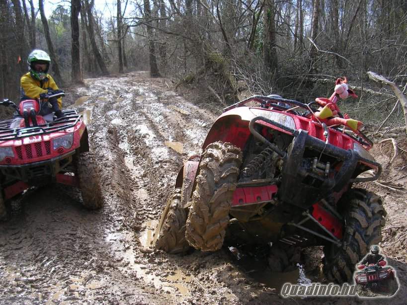 arcticcat_quadinfo_353.jpg