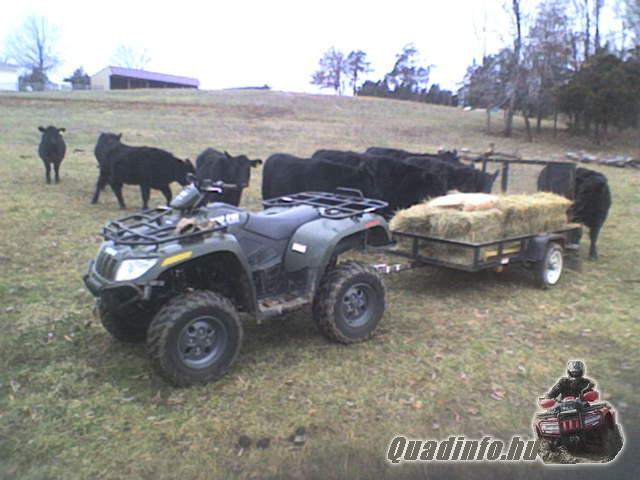 arcticcat_quadinfo_367.jpg