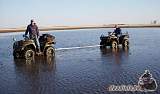 arcticcat_quadinfo_188
