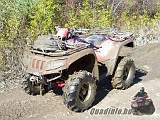 arcticcat_quadinfo_325