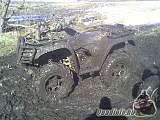 arcticcat_quadinfo_369