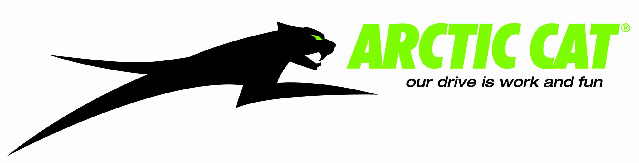 ac_catgreen_1.jpg