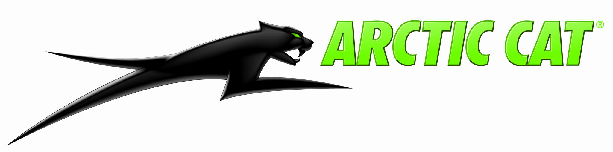 ac_catgreen_2.jpg