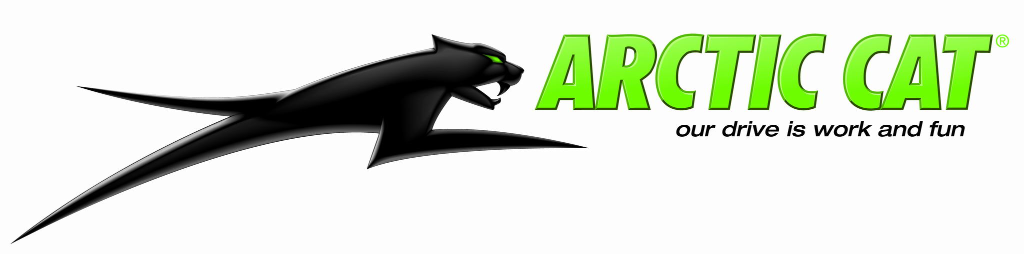 ac_catgreen_3.jpg