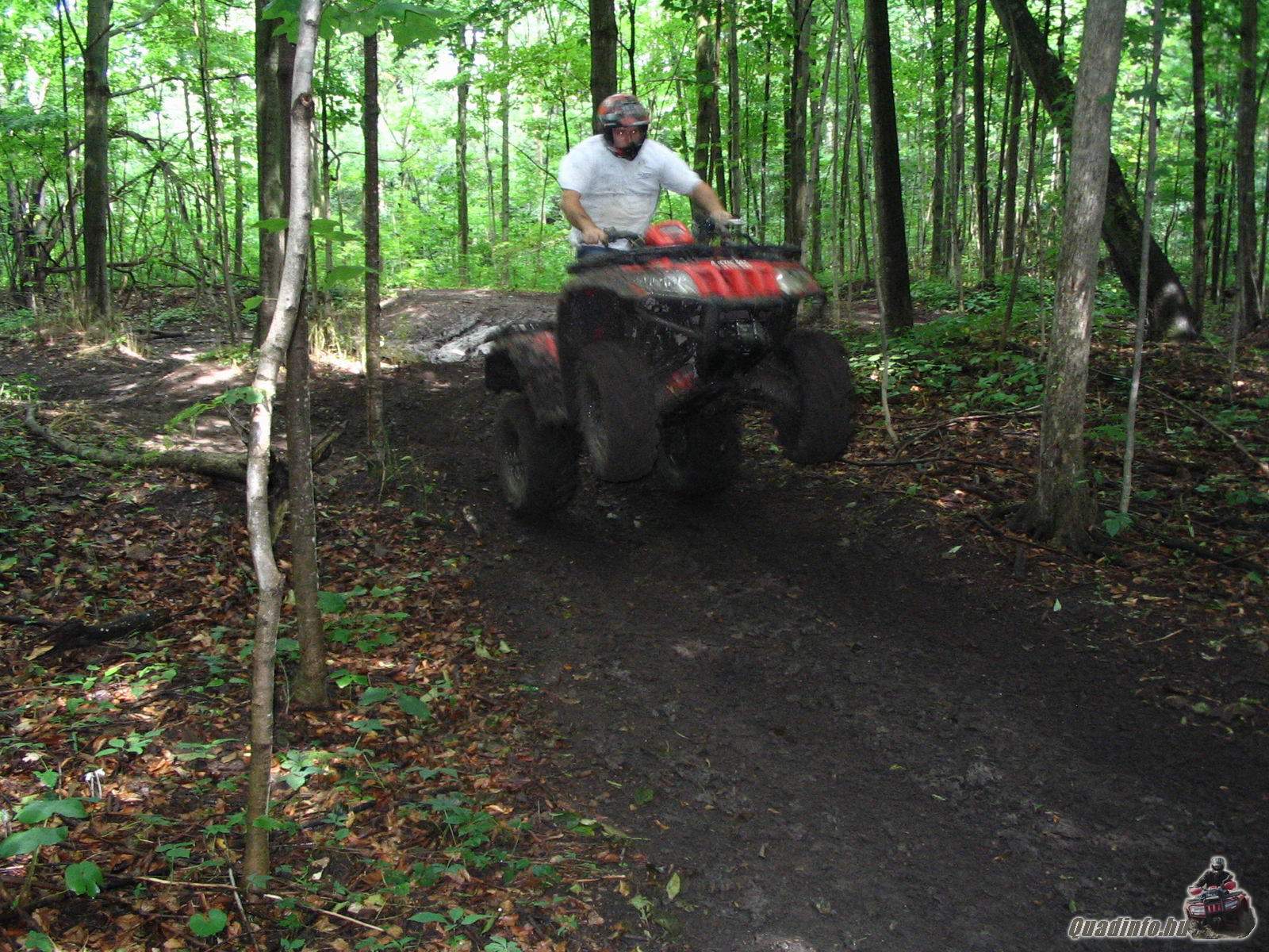 arcticcat_quadinfo.hu_0487.jpg