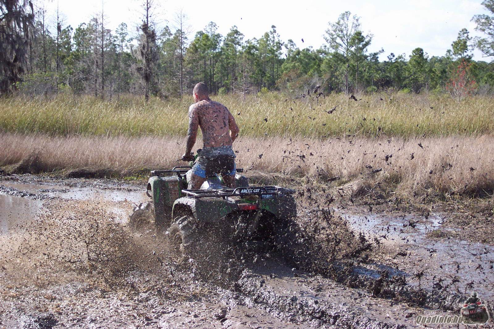 arcticcat_quadinfo.hu_0543.jpg