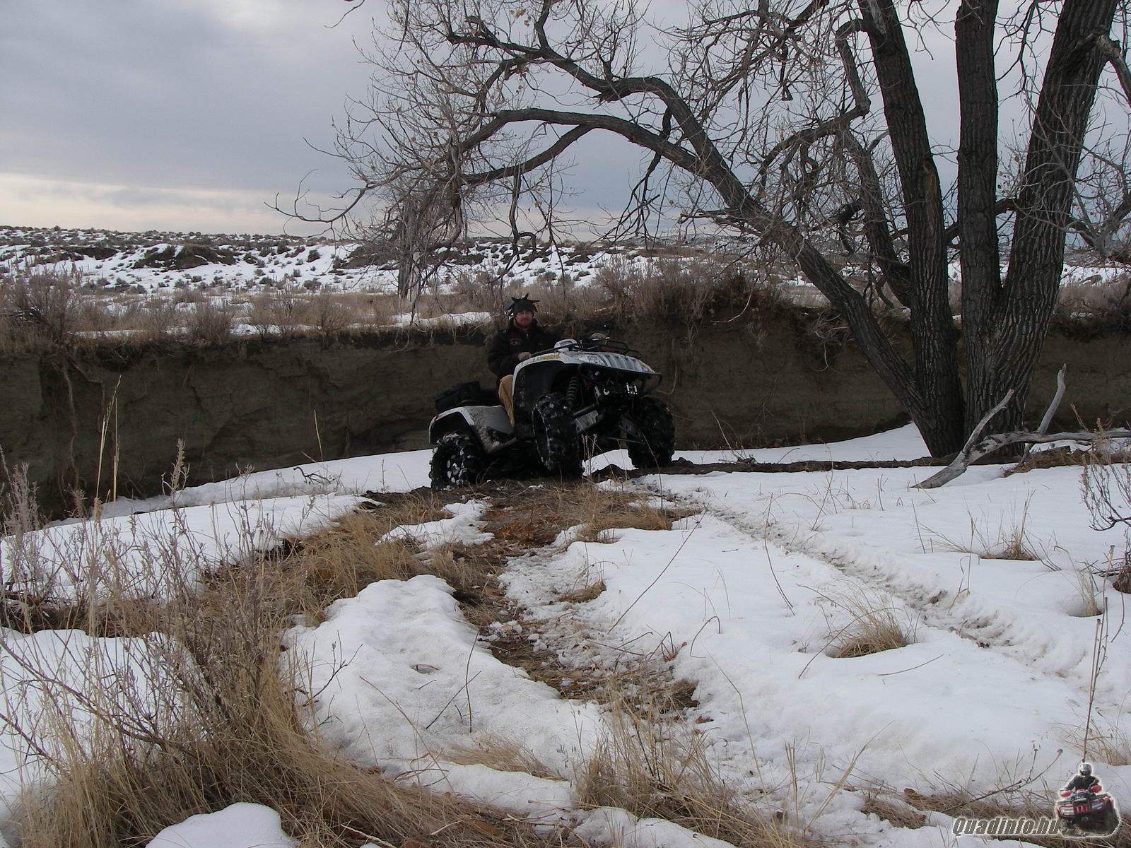 arcticcat_quadinfo.hu_0615.jpg