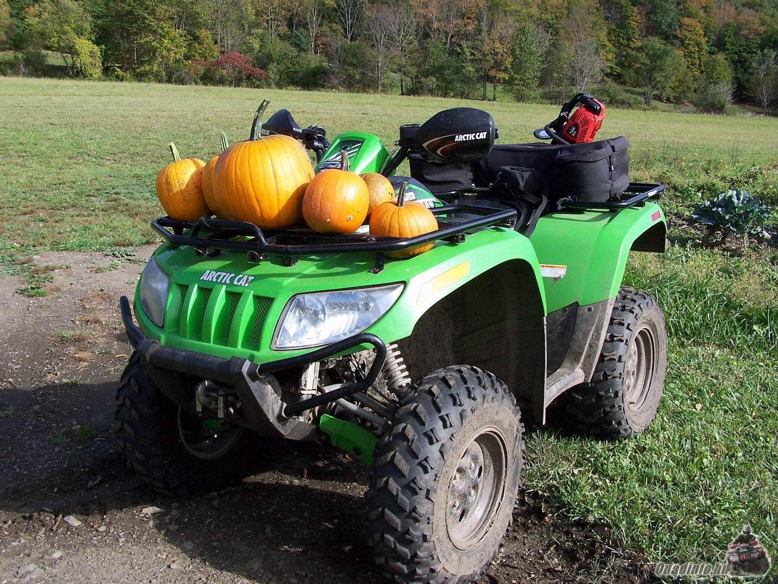 arcticcat_quadinfo.hu_0651.jpg