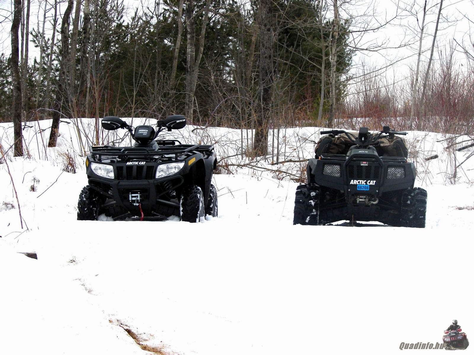 arcticcat_quadinfo.hu_0728.jpg